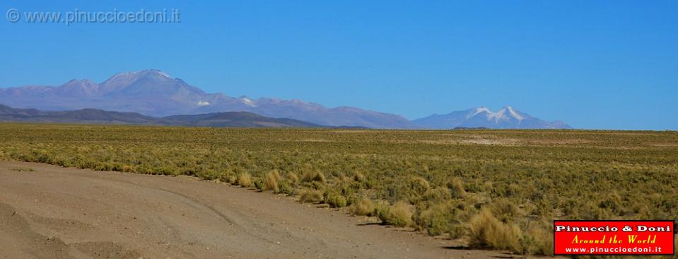 BOLIVIA - da Uyuni a Villamar - 21.jpg